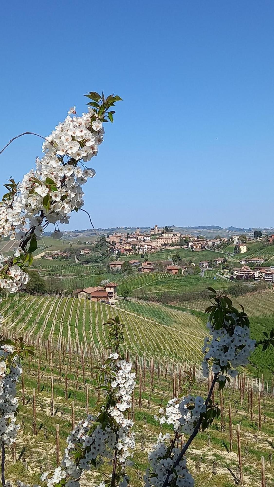 Bed and Breakfast I Quattro Grappoli Нейве Экстерьер фото
